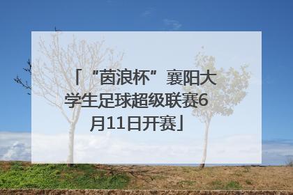 “茵浪杯”襄阳大学生足球超级联赛6月11日开赛