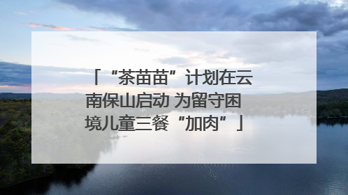 “茶苗苗”计划在云南保山启动 为留守困境儿童三餐“加肉”