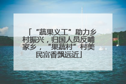 “蔬果义工”助力乡村振兴，归国人员反哺家乡，“果蔬村”村美民富香飘远近