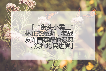 “街头小霸王”林正杰癌逝，老战友许国泰曝他遗愿：没打垮民进党
