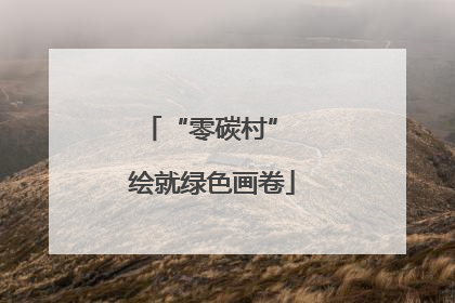 “零碳村” 绘就绿色画卷