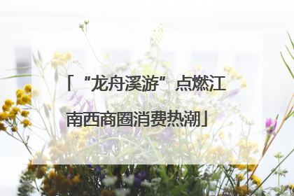 “龙舟溪游”点燃江南西商圈消费热潮