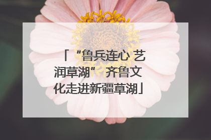 “鲁兵连心 艺润草湖” 齐鲁文化走进新疆草湖