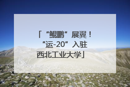 “鲲鹏”展翼！“运-20”入驻西北工业大学