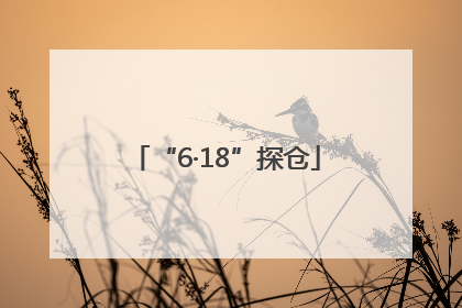 “6·18”探仓