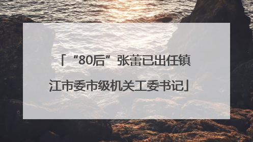 “80后”张蕾已出任镇江市委市级机关工委书记