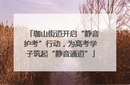珈山街道开启“静音护考”行动，为高考学子筑起“静音通道”