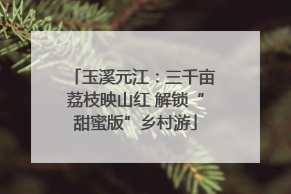 玉溪元江：三千亩荔枝映山红 解锁“甜蜜版”乡村游