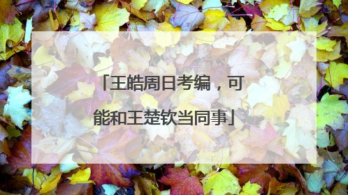 王皓周日考编，可能和王楚钦当同事