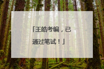王皓考编，已通过笔试！