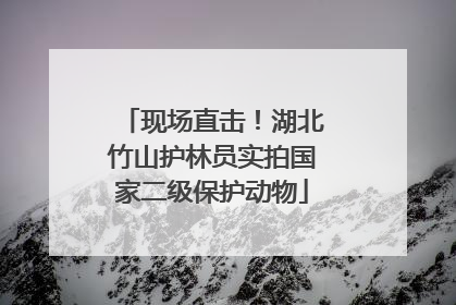 现场直击！湖北竹山护林员实拍国家二级保护动物