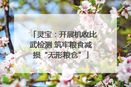 灵宝：开展机收比武检测 筑牢粮食减损“无形粮仓”