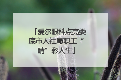 爱尔眼科点亮娄底市人社局职工“睛”彩人生