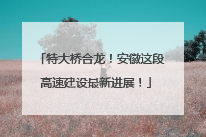 特大桥合龙！安徽这段高速建设最新进展！
