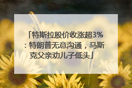 特斯拉股价收涨超3%：特朗普无意沟通，马斯克父亲劝儿子低头