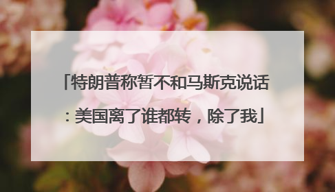 特朗普称暂不和马斯克说话：美国离了谁都转，除了我