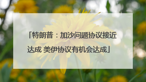 特朗普：加沙问题协议接近达成 美伊协议有机会达成