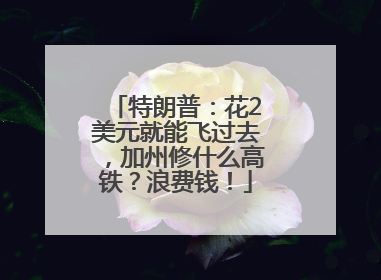 特朗普：花2美元就能飞过去，加州修什么高铁？浪费钱！