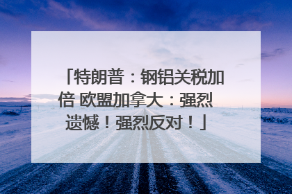 特朗普：钢铝关税加倍 欧盟加拿大：强烈遗憾！强烈反对！