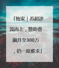 独家｜苏超逆流而上，赞助费飙升至300万，仍一席难求