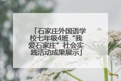 石家庄外国语学校七年级4班“我爱石家庄”社会实践活动成果展示