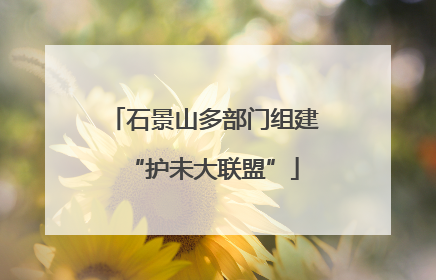 石景山多部门组建“护未大联盟”