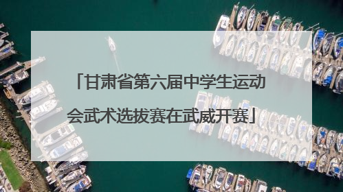 甘肃省第六届中学生运动会武术选拔赛在武威开赛