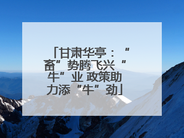 甘肃华亭：“畜”势腾飞兴“牛”业 政策助力添“牛”劲