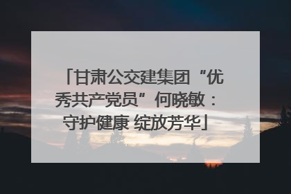 甘肃公交建集团“优秀共产党员”何晓敏：守护健康 绽放芳华