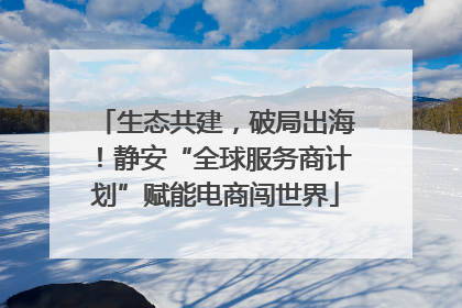 生态共建，破局出海！静安“全球服务商计划”赋能电商闯世界