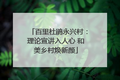 百里杜鹃永兴村：理论宣讲入人心 和美乡村焕新颜