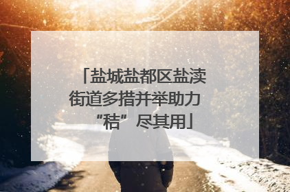 盐城盐都区盐渎街道多措并举助力“秸”尽其用