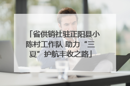 省供销社驻正阳县小陈村工作队 助力“三夏”护航丰收之路