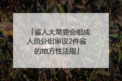 省人大常委会组成人员分组审议2件省的地方性法规