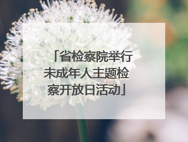 省检察院举行未成年人主题检察开放日活动
