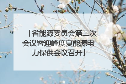 省能源委员会第二次会议暨迎峰度夏能源电力保供会议召开