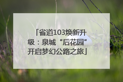 省道103焕新升级：泉城“后花园”开启梦幻公路之旅