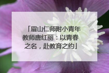 眉山仁师附小青年教师唐红丽：以青春之名，赴教育之约