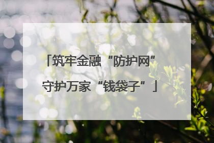 筑牢金融“防护网” 守护万家“钱袋子”