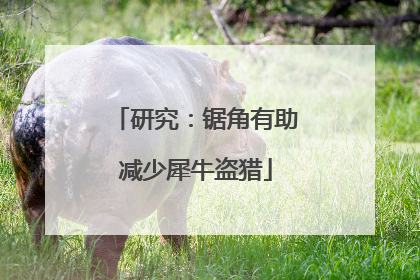 研究：锯角有助减少犀牛盗猎