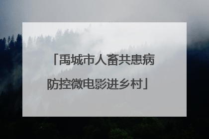 禹城市人畜共患病防控微电影进乡村