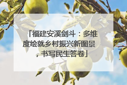 福建安溪剑斗：多维度绘就乡村振兴新图景，书写民生答卷