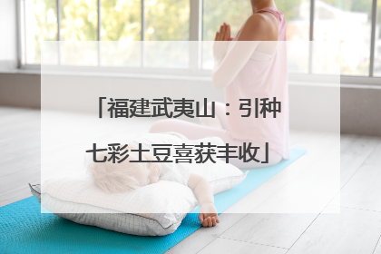 福建武夷山：引种七彩土豆喜获丰收