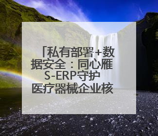 私有部署+数据安全：同心雁S-ERP守护医疗器械企业核心资产