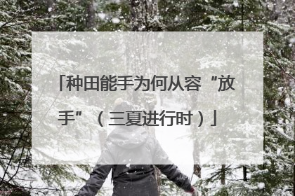 种田能手为何从容“放手”（三夏进行时）