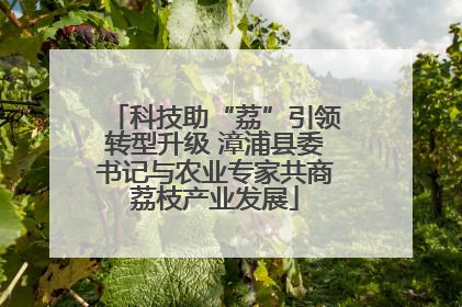 科技助“荔”引领转型升级 漳浦县委书记与农业专家共商荔枝产业发展