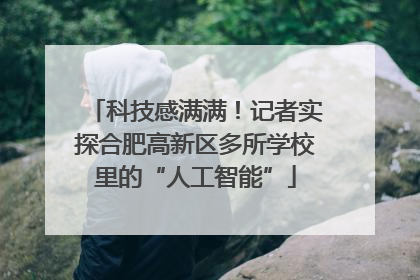 科技感满满！记者实探合肥高新区多所学校里的“人工智能”