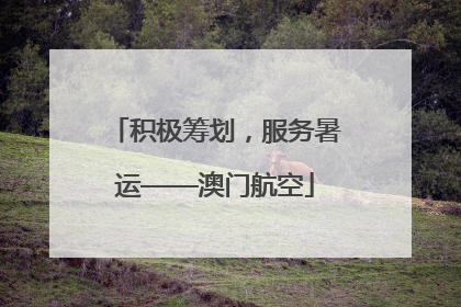 积极筹划，服务暑运——澳门航空