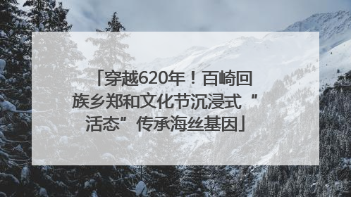 穿越620年！百崎回族乡郑和文化节沉浸式“活态”传承海丝基因
