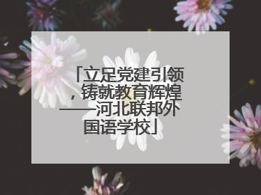 立足党建引领，铸就教育辉煌——河北联邦外国语学校